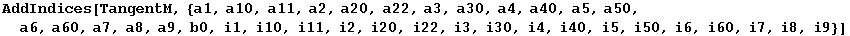 AddIndices[TangentM, {a1, a10, a11, a2, a20, a22, a3, a30, a4, a40, a5, a50, a6, a60, a7, a8, a9, b0, i1, i10, i11, i2, i20, i22, i3, i30, i4, i40, i5, i50, i6, i60, i7, i8, i9}]