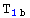 T_ (1b)^  