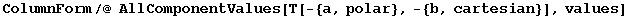 ColumnForm/@ AllComponentValues[T[-{a, polar}, -{b, cartesian}], values]