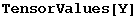 TensorValues[Y]