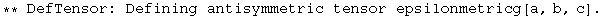 ** DefTensor: Defining antisymmetric tensor epsilonmetricg[a, b, c] . 