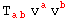 T_ (ab)^   v_ ^a v_ ^b