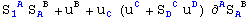 S_1 ^( A) S_A ^( B) + u_ ^B + u_C^  (u_ ^C + S_D ^( C) u_ ^D) ∂_ ^AS_A ^( B)