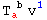 T_a ^( b) v_ ^1