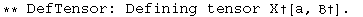 ** DefTensor: Defining tensor X†[a, †] . 