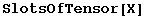 SlotsOfTensor[X]