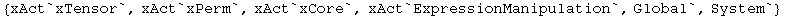 {xAct`xTensor`, xAct`xPerm`, xAct`xCore`, xAct`ExpressionManipulation`, Global`, System`}