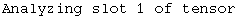 Analyzing slot 1 of tensor