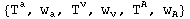 {T_ ^a, w_a^ , T_ ^v, w_v^ , T_ ^A, w_A^ }
