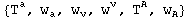 {T_ ^a, w_a^ , w_v^ , w_ ^v, T_ ^A, w_A^ }