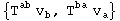 {T_  ^ab v_b^ , T_  ^ba v_a^ }